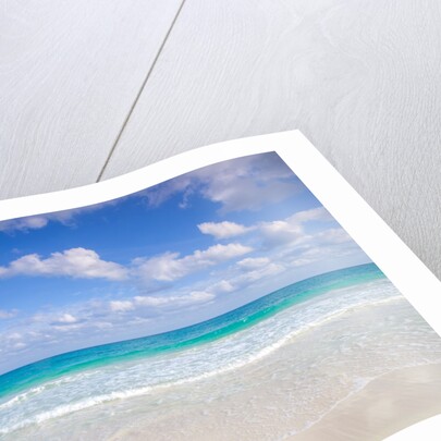 Cancun beach, Mexico by Assaf Frank